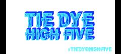 Tie Dye High Five: The Workshop image