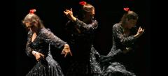 ignite Brunch - Flamenco Express image