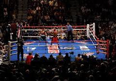 Professional Boxing image