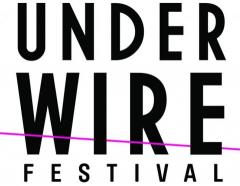 Underwire Festival 2013 image