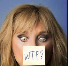 Why The Fuss? Comedy Theatre Show With Helen Lederer image
