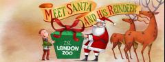 Visit Santa and his reindeer at ZSL London Zoo image