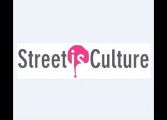 Street is Culture Launch Event - Street Disciplines Show and Workshops image