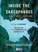 Inside The Sarcophagus - A Moving Image Occupation image