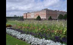 Lecture: The Gardens of Hampton Court Palace image