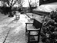 Chelsea Physic Garden Special Winter Openings image