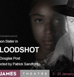 Bloodshot at the St James Theatre image