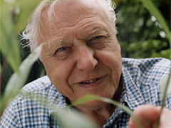 Meet the Developer: Sir David Attenborough, Natural History Museum Alive image