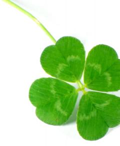 Saturday Talk: Create Your Own Good Luck image