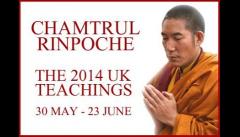 Tibetan Buddhism -  Chamtrul Rinpoche - Master and Scholar image