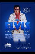 Elvis - A Tribute To The King image