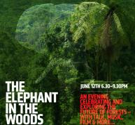 The Elephant In The Woods; An Evening To Explore The Future Of The Forests image