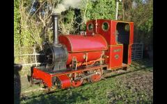 FREE rides on our steam train on Father's Day !! image