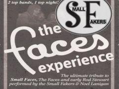 Small Fakers, Faces Experience image