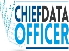 Chief Data Officer image