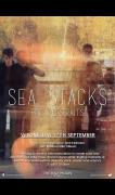 Folklore Presents ... Sea Stacks + Adam Cleaver + The Portraits image