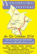 Woodford Festival  image