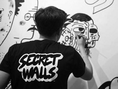 Secret Walls image