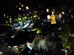 Duke of York Square Christmas Lights Switch On image
