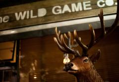 The Wild Game Co Vs The Wild Beer Co. image