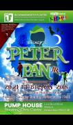 Disney's Peter Pan Jr image