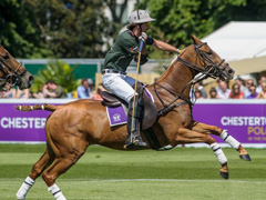 Chesterton's Polo In The Park image