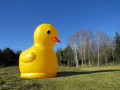 Giant Easter Duck Hunt image