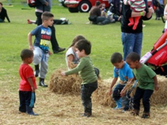 Lee Valley Country Fair image