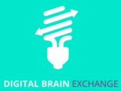 Digital Brain Exchange: Crowdsourcing your Digital Business Transformation image