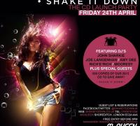 Shake It Down CD Launch Party  image