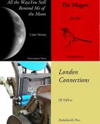 Poetry Launch: Magpies, Moons & London image