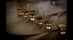 Telegraph Whisky Experience image