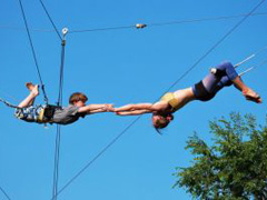 Gorilla Circus Flying Trapeze School image