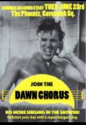 The Dawn Chorus image