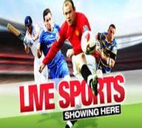 Live Sports Shown on Big Screens at The Golden Horseshoe London image