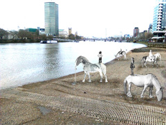 Totally Thames image