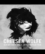 Chelsea Wolfe live at Islington Assembly Hall image