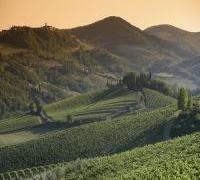 Wine Tasting: Spain and Italy image