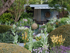 The Virtual RHS Chelsea Flower Show image