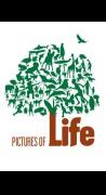 Pictures of Life image