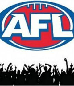 AFL Grand Final 2015 image