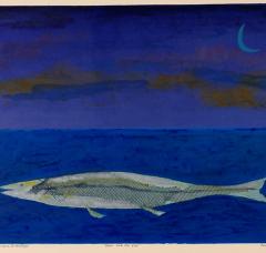 UCL Art Museum Family Pop-Up: The Deep Blue Sea image