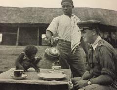 The Chimp Who Went to War image