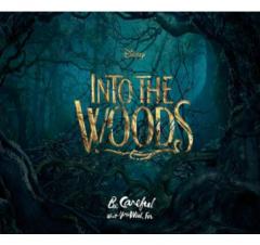 Into The Woods (Film Showing) image