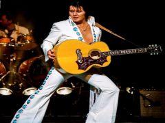 A Vision of Elvis image
