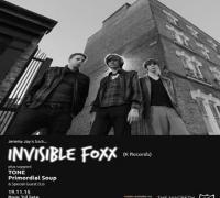 Invisible Foxx (Jeremy Jay / K-Records) image