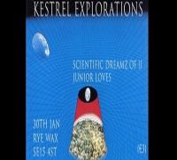 Kestrel Explorations at Rye Wax image