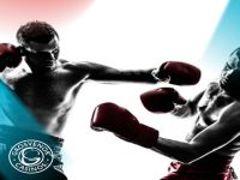 David Haye's Boxing Return image
