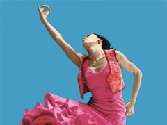 Flamenco Festival image