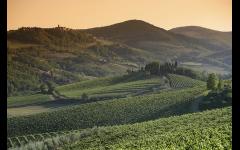 Discover Italian Wines: North West Italy image
